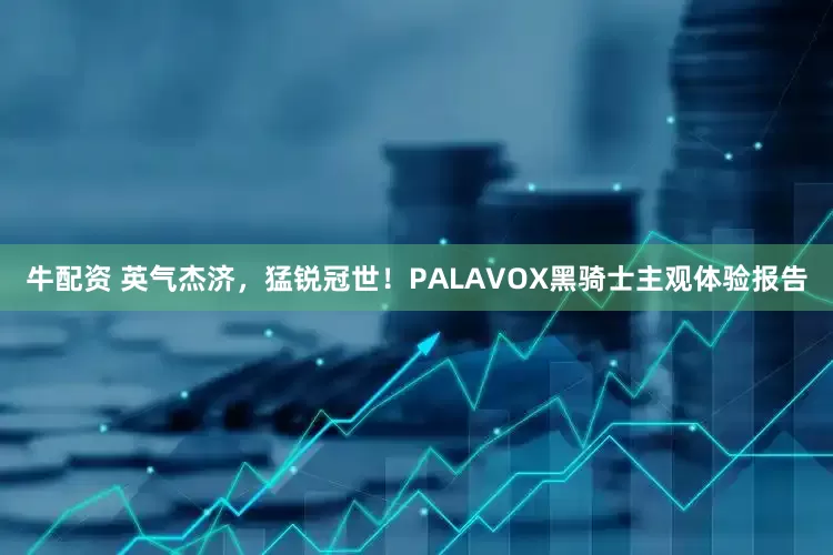 牛配资 英气杰济，猛锐冠世！PALAVOX黑骑士主观体验报告